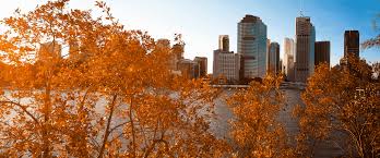 Autumn Must-Haves for Healthy Skin & Hair