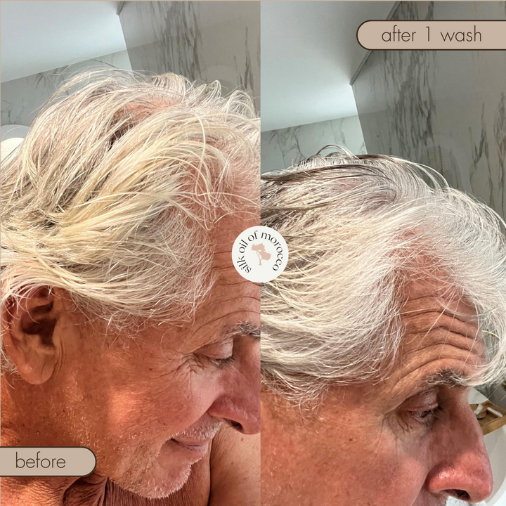 Platinum Blonde Damage Repair Toning Collection