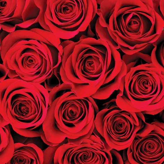 Moroccan Rose Room Spray