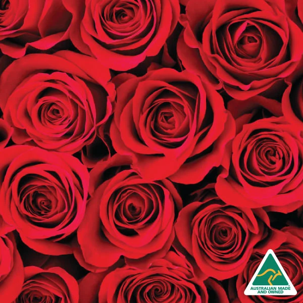 Moroccan Rose Argan Soap Bar