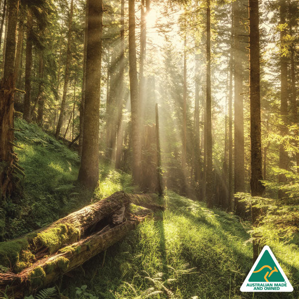 Exotic Woods Natural Soy Candle