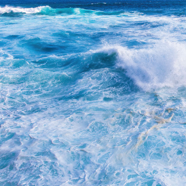 Ocean Fresh Antibacterial Foam Hand Sanitiser (Kills 99.9% of Germs)