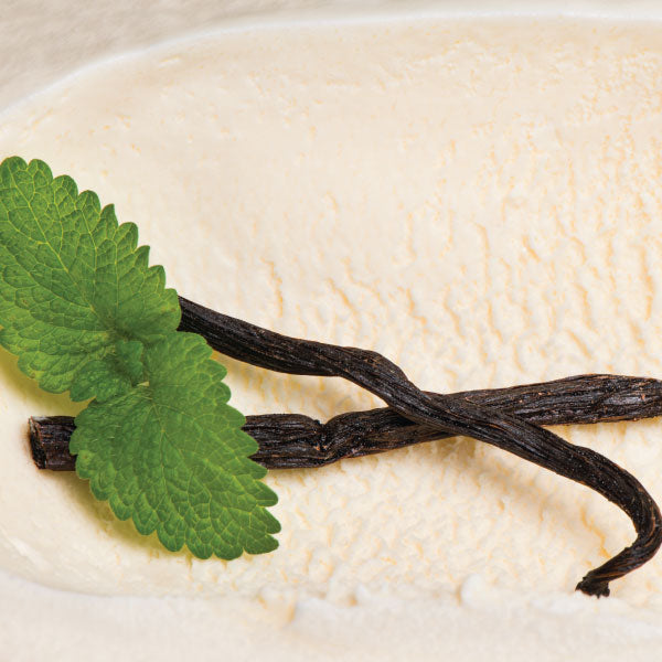 Argan Lip Balm - Mixed Duos - Vanilla Cream - Pina Colada - Value Pack