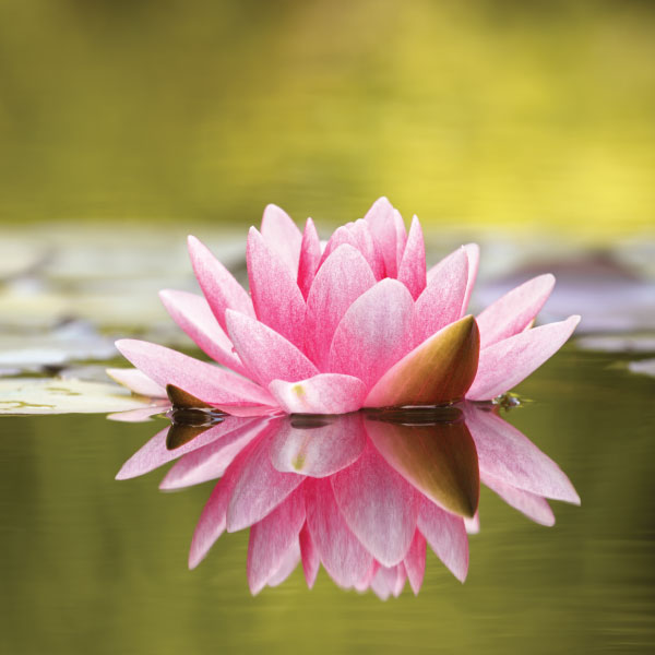 Signature Candle Set OPTION 3 - Value Pack