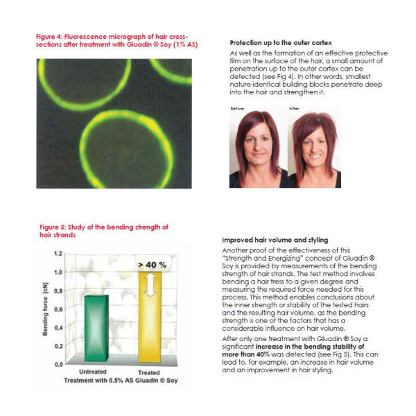 Argan Hair Volume Duo