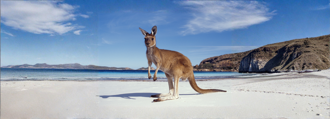 Australian Made