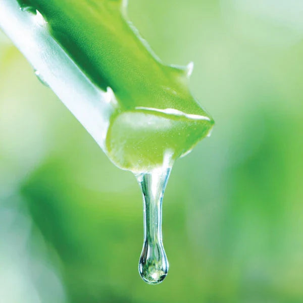 Aloe Vera & Almond Argan Soap Bar