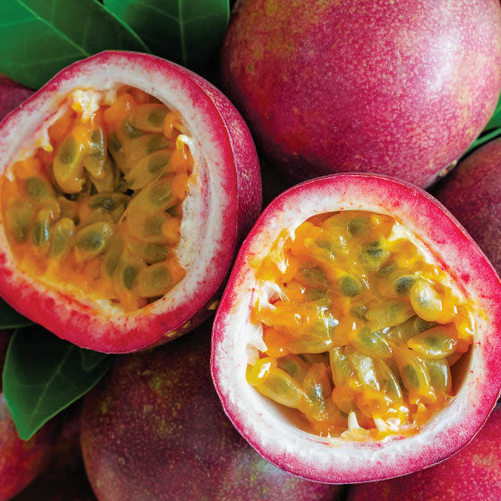 Passionfruit & Lychee - Bath & Body Duo