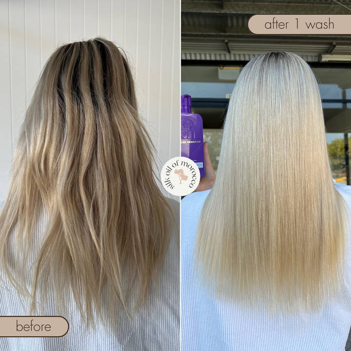 Platinum Blonde Damage Repair Toning Luxe Collection - Trade