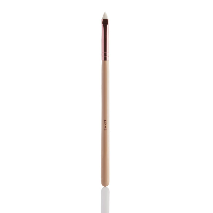 Silk x Fernando 10 Piece Brush Set Trade Starter Pack